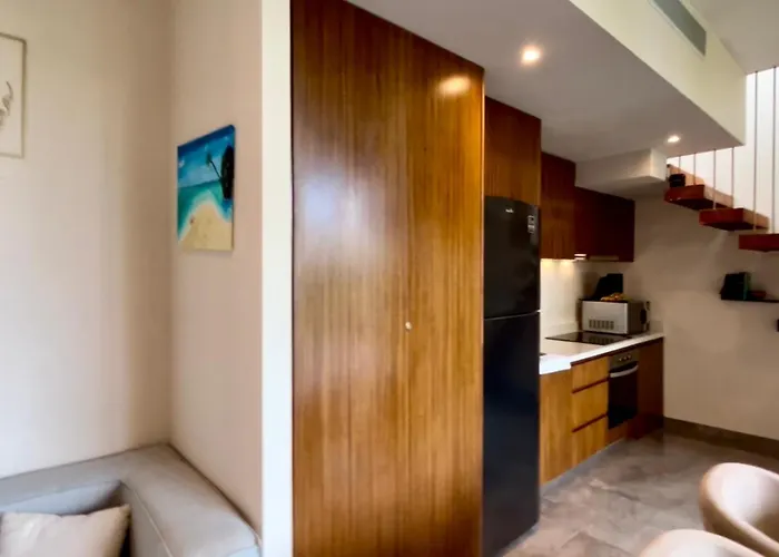 Apartamento Plunge Pool Duplex Ph With Club Shuttle And Gym
